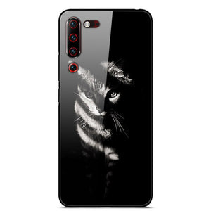 Lenovo Z6 Pro Case Tempered Glass