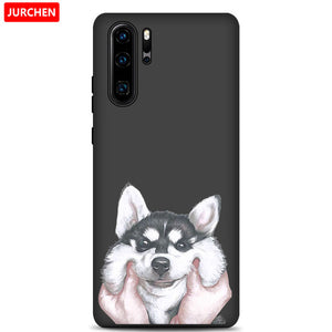 Case For Huawei P30 Pro Cover